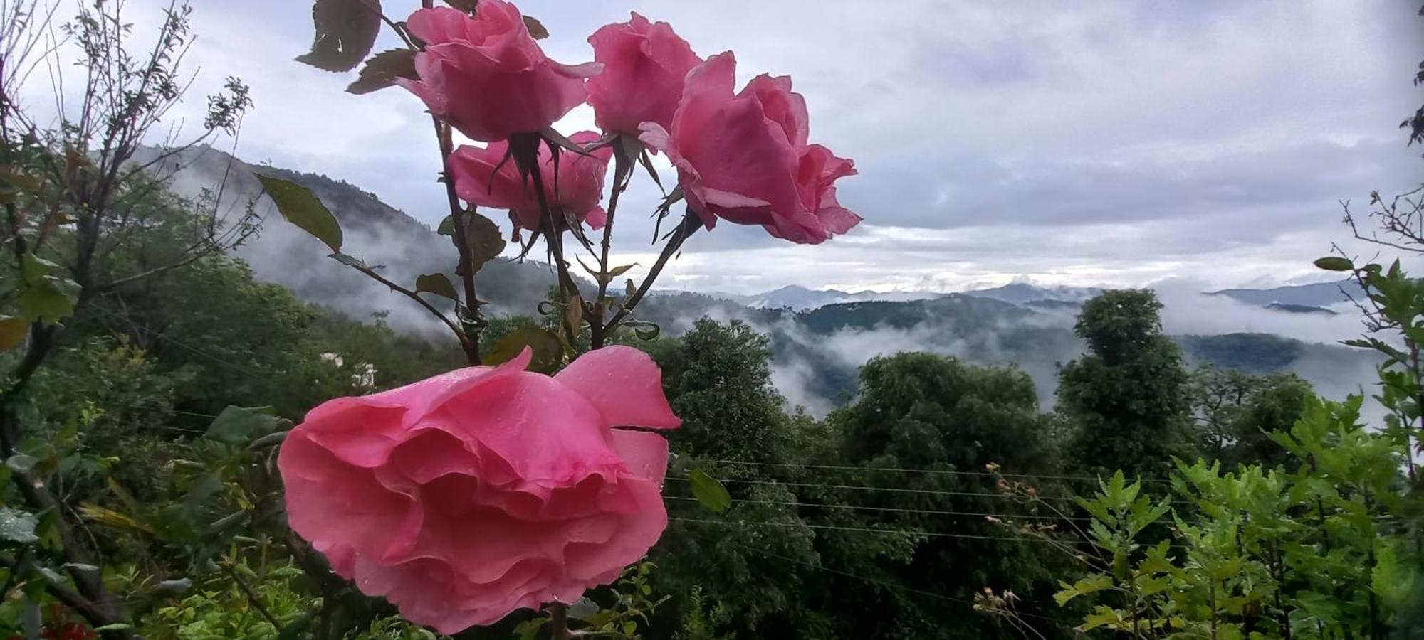 Sunrise Villa Shimla Exterior foto